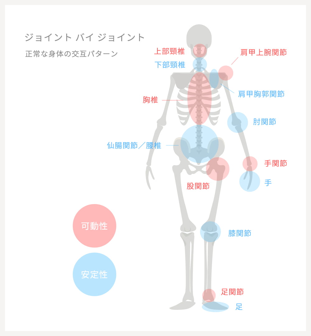 機能的なカラダの交互パターン